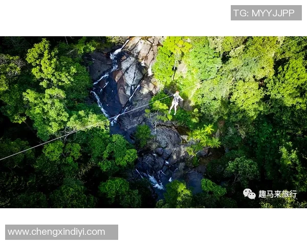 广州极限运动队实力解析：挑战极限与激情碰撞的运动盛宴