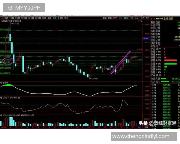 职业联赛分析：BLG战队技术表现的深度解读与未来展望