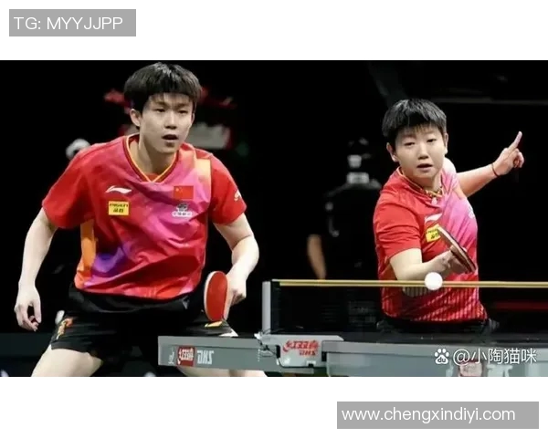 北京乒乓球队创历史新高速度排名引发全国关注与热议