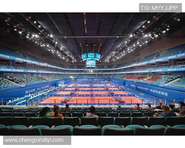 成都篮球队引领最新篮球节奏TOP10榜单全解析