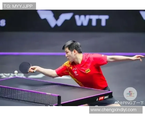 乒乓球的魅力:深入杭州乒乓球队的速度与激情之旅 乒乓球的魅力:深入杭州乒乓球队的速度与激情之旅