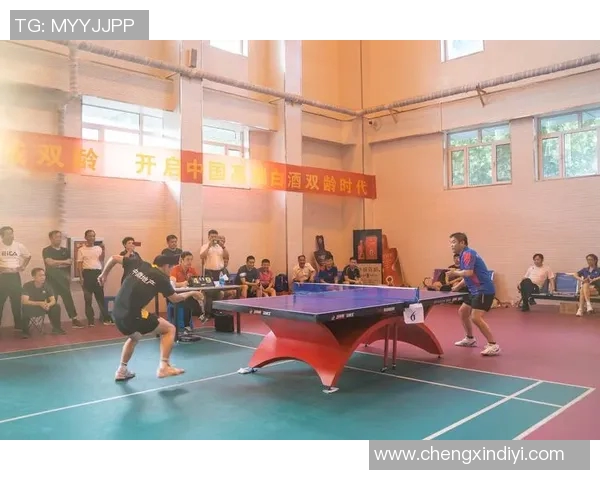 北京乒乓球队在杯赛中的技术表现分析与总结 北京乒乓球队在杯赛中的技术表现分析与总结