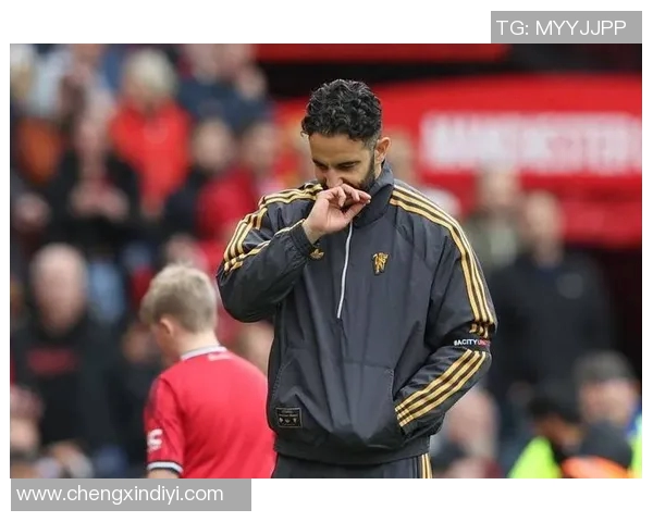 美国足球明星专访视频揭示他们的训练生活与职业梦想