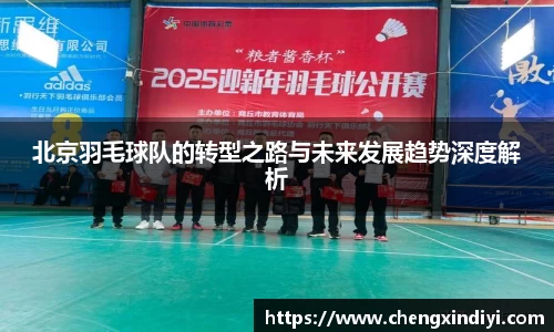 北京羽毛球队的转型之路与未来发展趋势深度解析
