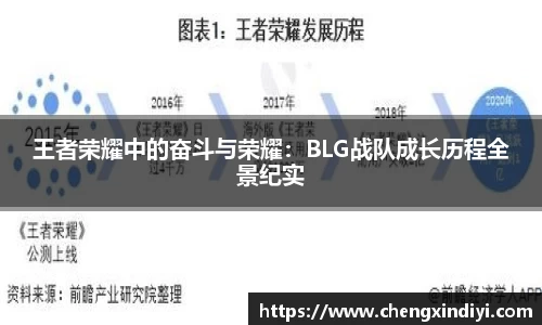 王者荣耀中的奋斗与荣耀：BLG战队成长历程全景纪实