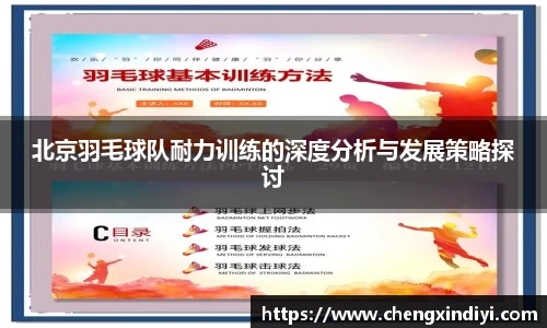 北京羽毛球队耐力训练的深度分析与发展策略探讨