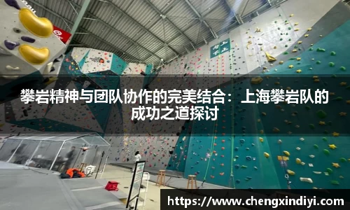 攀岩精神与团队协作的完美结合：上海攀岩队的成功之道探讨