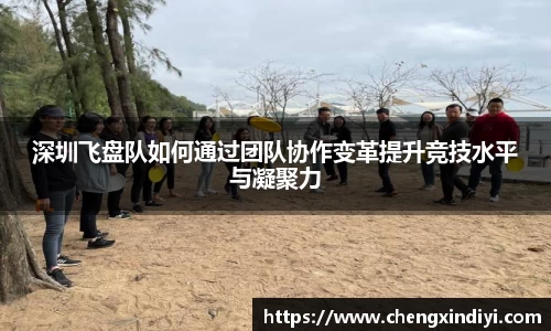 深圳飞盘队如何通过团队协作变革提升竞技水平与凝聚力